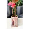 VONA COFFEE BREZİLYA