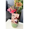 VONA COFFEE BREZİLYA